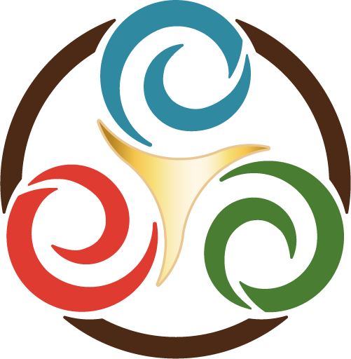 The Modern Shaman Academy icon